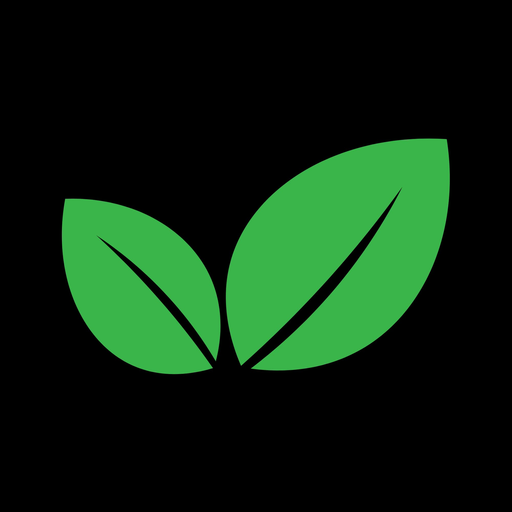 NB SAFA AGRO Logo